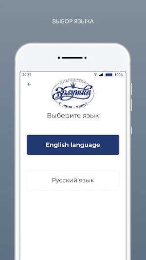 Химчистка Золушка Screenshot 3