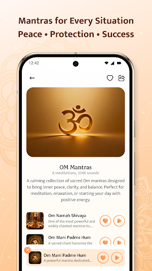 Sanatan Dharma Screenshot 3