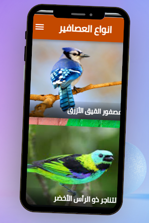 انواع العصافير Screenshot 3