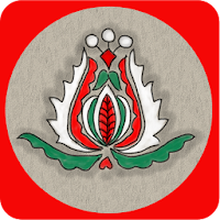 Pocket Hungarian