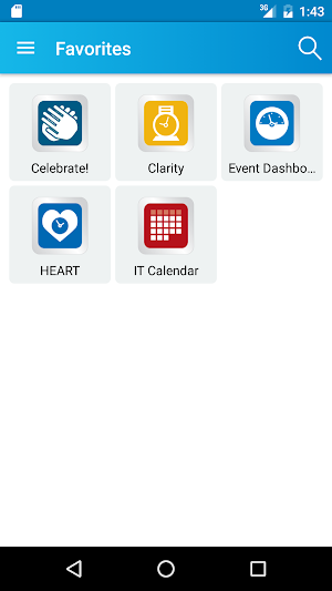 NetIQ MobileAccess Screenshot 2