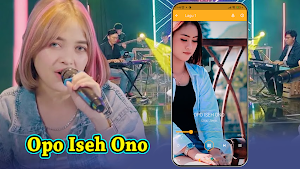 Lagu Opo Iseh Ono Screenshot 3