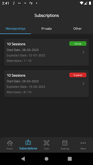 Z10 Screenshot 2