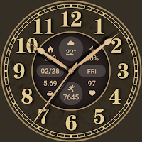 Warm Quartz ZKin Watch