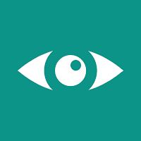 Optical Diary