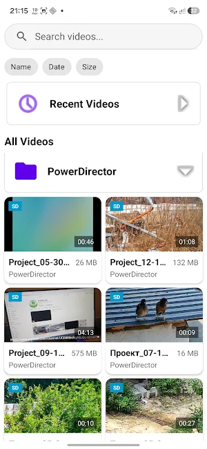 Video Player Screenshot 0