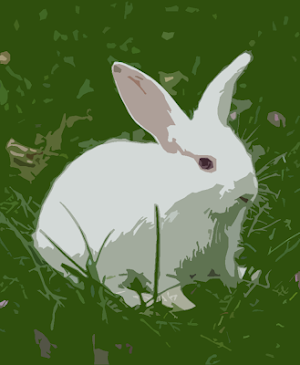 Rabbit call sounds ~ Sboard.pro Screenshot 0