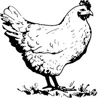 Chicken Sound
