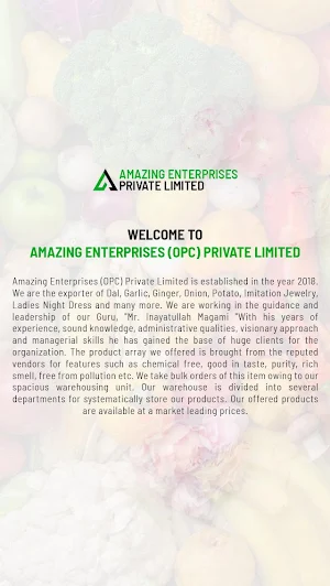 Amazing Enterprises Screenshot 1