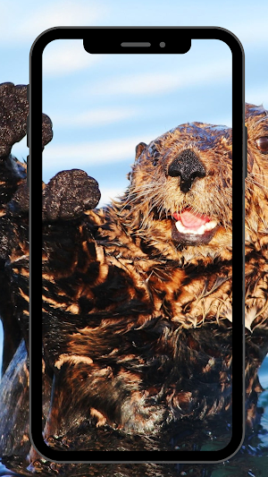 Otter UHD Wallpapers Screenshot 1