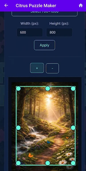 Citrus Puzzle Maker Screenshot 3