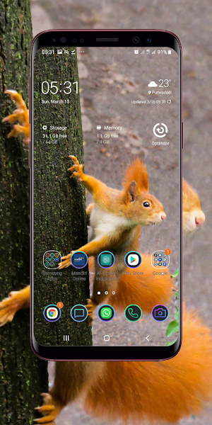 Squirrel Wallpaper Screenshot 2