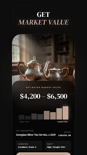 Antique Identifier & Value Screenshot 1
