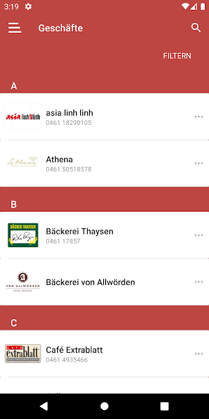 Flensburg Galerie Screenshot 2