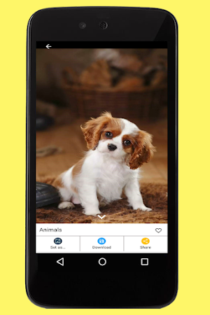 Animals Images Screenshot 3