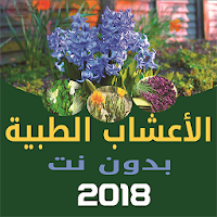 فوائد الأعشاب الطبية - بدون ان