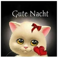 Gute Nacht Bilder