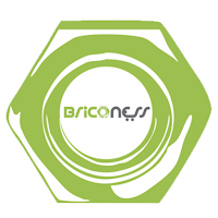 Briconess App