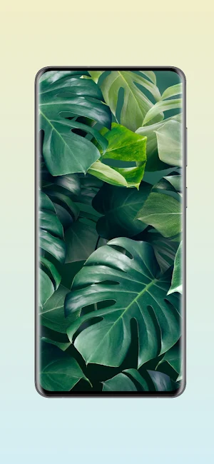 Monstera Live Wallpapers HD Screenshot 1