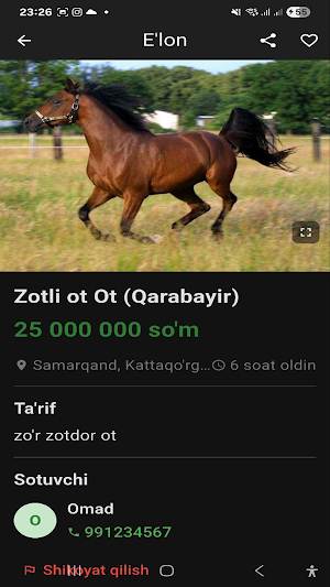 Mol Bozori Screenshot 1