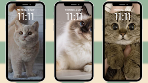 Pet Wallpaper Screenshot 1