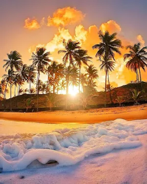 Wallpaper Pantai Screenshot 2
