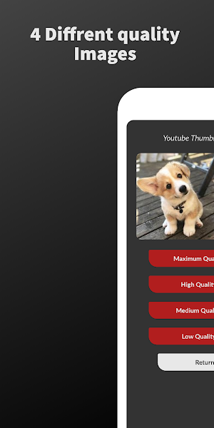 Thumbnail Downloader YTD App | Screenshot 2