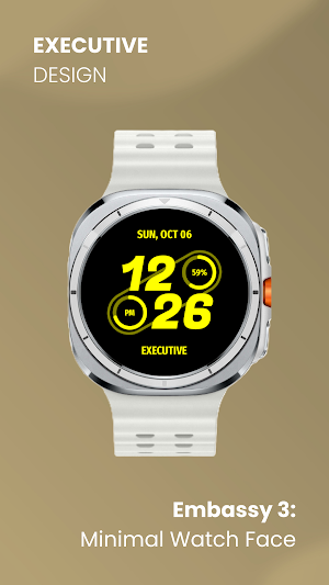 Embassy 3: Minimal Watch Face Screenshot 2
