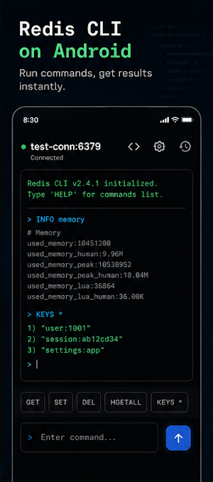 Redis Explorer Screenshot 2