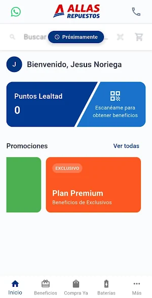 ALLAS Repuestos + Baterias Screenshot 0