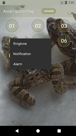 Asian grass frog Sounds Screenshot 1