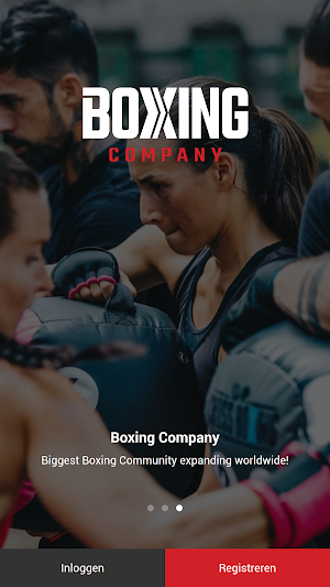Boxing Company Screenshot 0