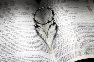 Santa Biblia Reina Valera Screenshot 2
