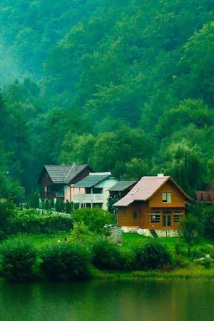 Backgrounds And Wallpapers HD Screenshot 0