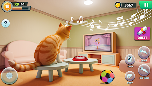 Angry Gran VS Naughty Cat Sim Screenshot 2