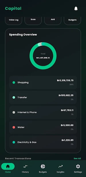 Capital: Secure Finance Vault Screenshot 1