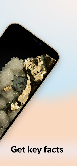 Rock Identifier & Stone ID Screenshot 1