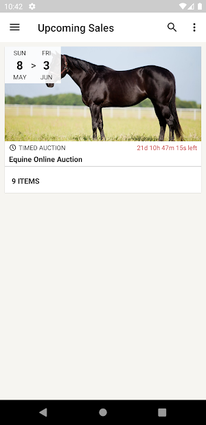 Equine Online Auction Screenshot 0