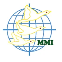 MMI