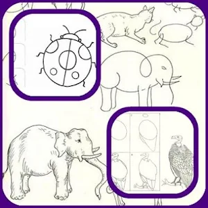 Animal Drawing Tutorial Screenshot 2