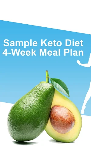 Keto Diet Notes Screenshot 2