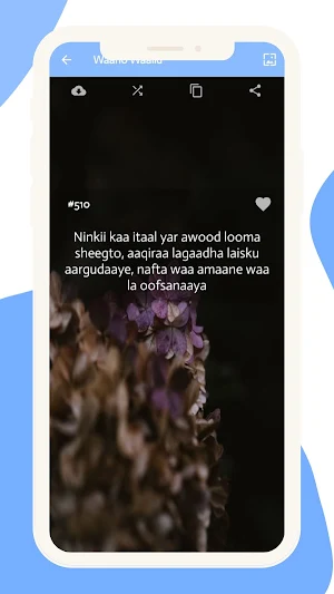 Waano Waalid: Murti iyo xikmad Screenshot 3