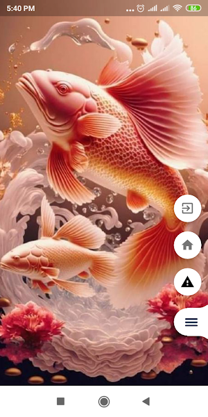 Arowana Fish Wallpaper Screenshot 3