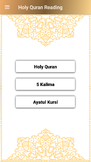 Al Quran (Offline Audio) - Quran Reading Screenshot 0