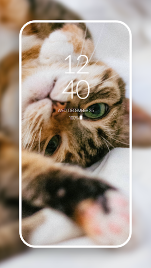 Aesthetic Cat HD Wallpaper Screenshot 2