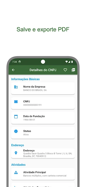 Consulta CNPJ Screenshot 1