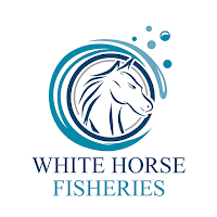WhiteHorse Fisheries