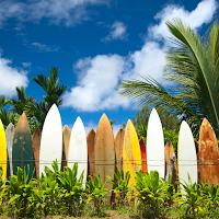 Surfing Wallpaper