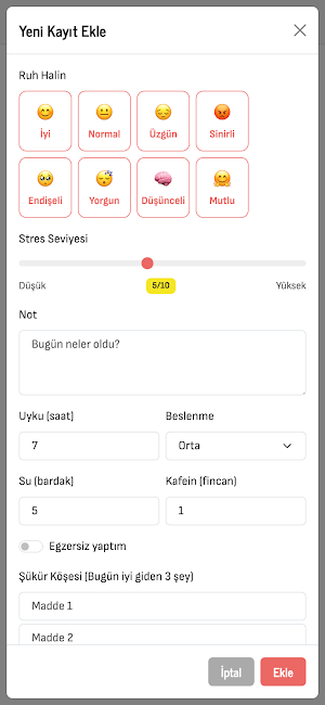 Ruh Hali Stres Günlüğü Screenshot 2