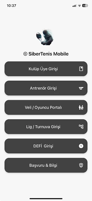 SiberTenis Screenshot 0